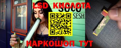 Альфа ПВП Камышлов