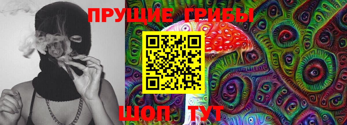 где можно купить наркотик  Галлюциногенные грибы MAGIC MUSHROOMS  Вход с VPN  Кызыл  Галлюциногенные грибы Magic Shrooms 