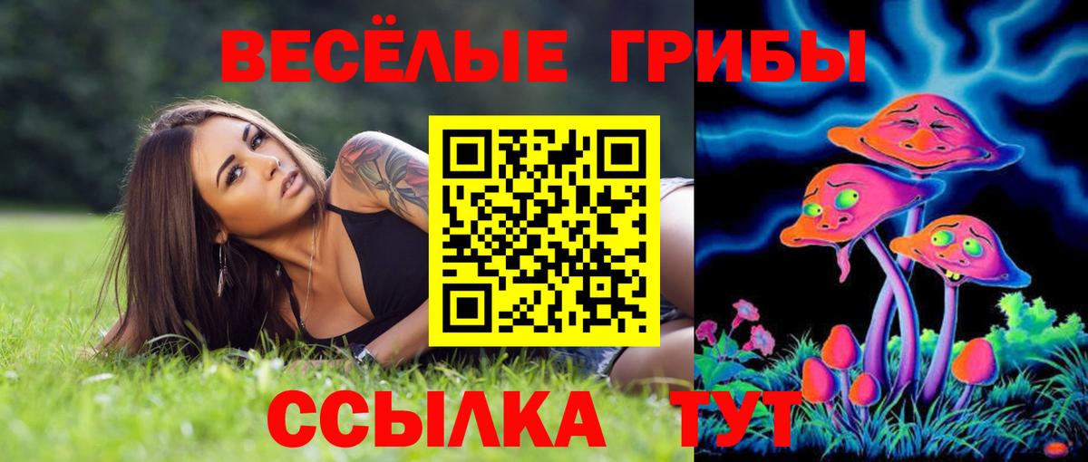 Псилоцибиновые грибы мицелий Кызыл