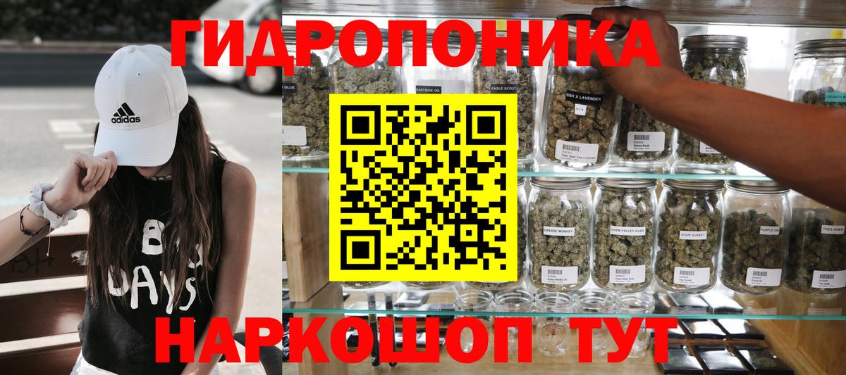 Шишки марихуана VHQ  Бошки марихуана план  Шишки марихуана планчик  Бошки Шишки THC 21%  Вход с VPN  Кызыл 